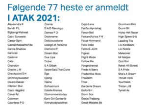 Read more about the article 77 heste anmeldt i ATAKs Fødselsdagsløb 2021