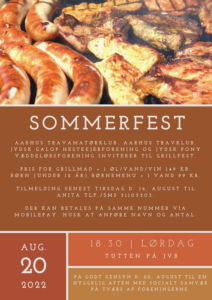 Read more about the article Nyt om sommerfesten
