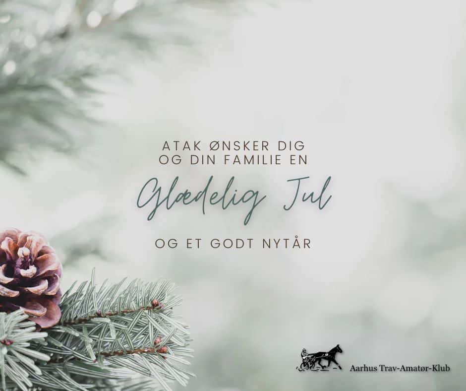 Read more about the article Glædelig jul og godt nytår