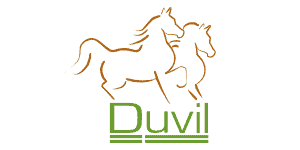 Duvil_Logo